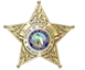 Brevard Sheriff Badge